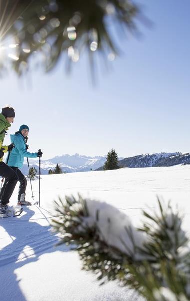 Two Snowshoe Hikers