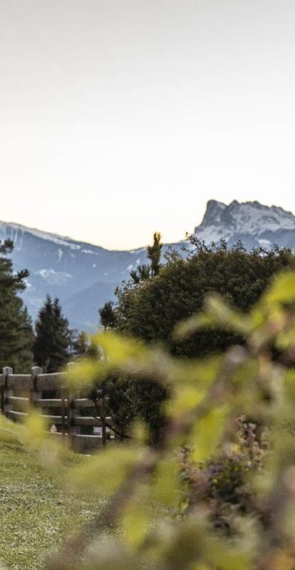 Wellness with a view in autumn